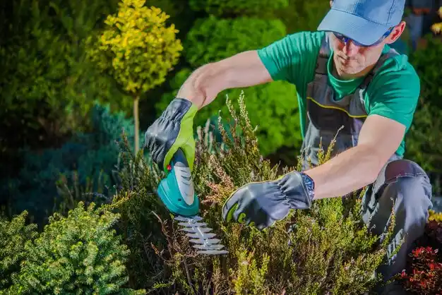 landscaping services Columbiaville